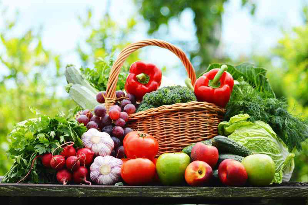 Healthy foods for wellness treatments