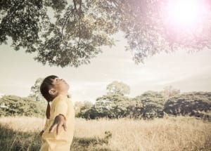 A child looking up into a tree with the sun beaming through-inner child healing-SpiritQuest