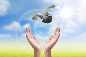 Letting Go of negative emotions on a Spiritual Group Retreat