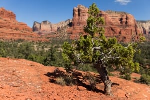Sedona canyon journey with SpritQuest to reflect your life's purpose