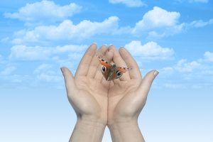 A butterfly in the palm of two hands opened up-Healing Treatment