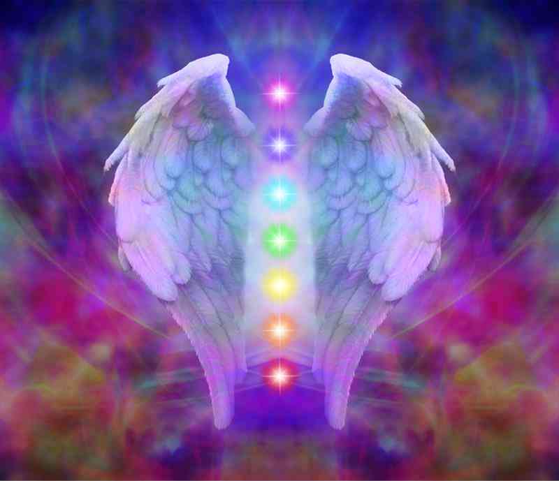 Chakra colors in angel wings 