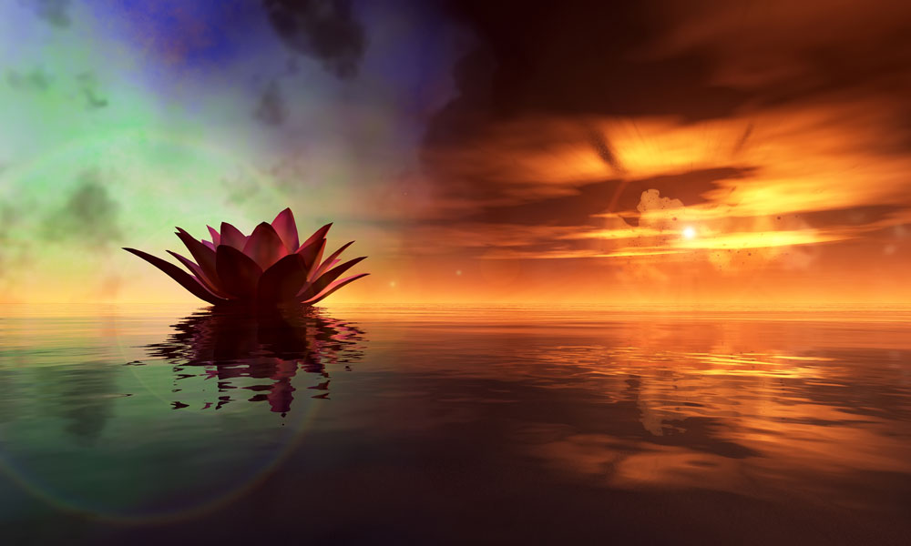 Sun setting on lotus blossom symbolizing grieving