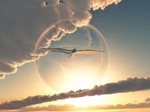a bird soaring through clouds-Shamanic group retreats