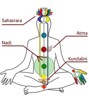 Image of a body while doing Nadi Shodhana Breathing-Yoga Retreat