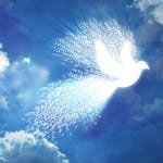 Bird Flying - Dove of Peace for SpiritQuest Journey - Sedona Retreat