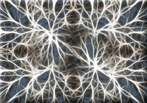 brain neurons - healing retreat