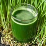 a glass of juiced wheat grass-wellness retreats