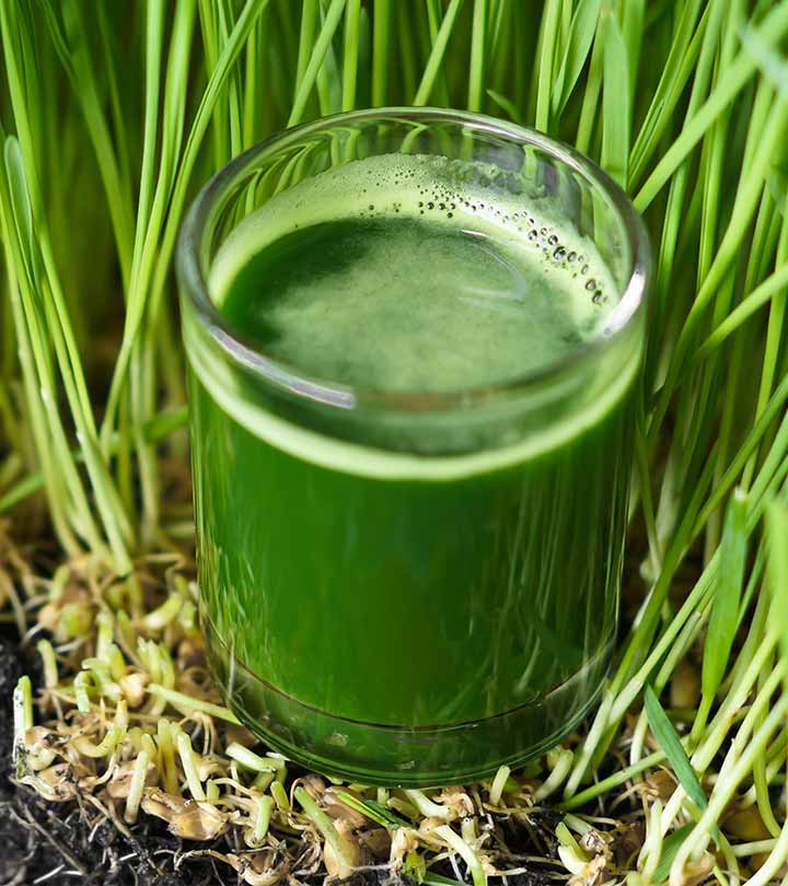 a glass of wheat grass-wellness retreat