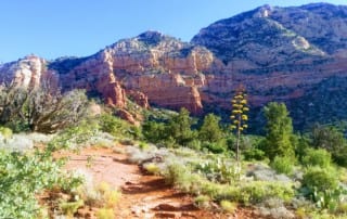 Thunder Mountain in Sedona, AZ