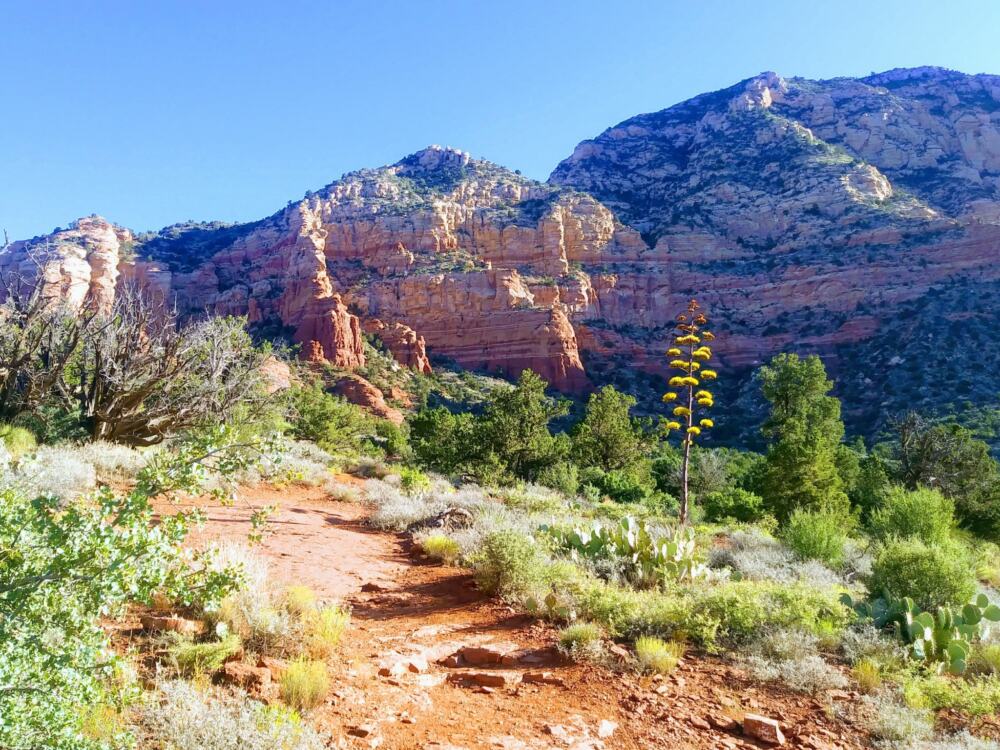 Thunder Mountain in Sedona, AZ