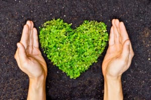 hands surround a green heart - how to excel