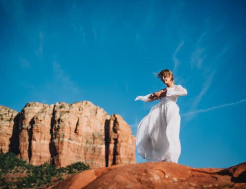 Four Essential Categories for Vital Wellness