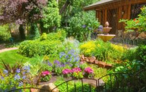 20240825_113243 Gorgeous Zen garden and fountain at the Sedona Sanctuary—premier all-inclusive lodging in Oak Creek Canyon.