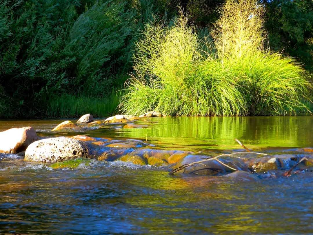 beautiful green oak creek sedona lodging for retreat