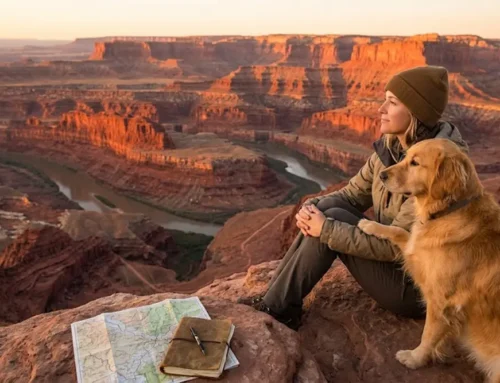 Disconnect to Reconnect: Embracing a Tech-Free Life