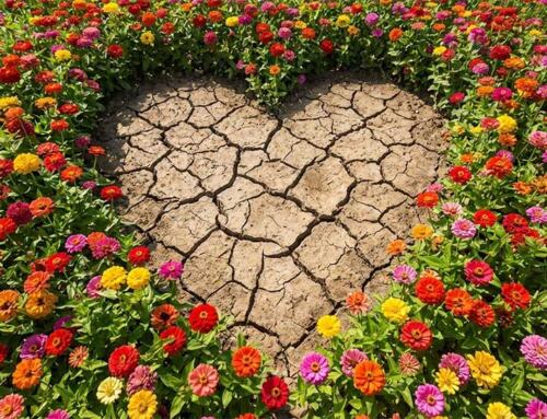 Sedona Self-Love Retreat