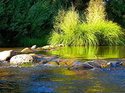oak-creek-sedona beautiful pools of water on oak creek of sedona for all inclusive lodging with SpiritQuest