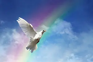 White dove flying against a vibrant rainbow background for a healing group retreat