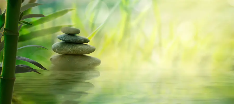 glowing-plant-calm-12 Stacked zen stones next to a vibrant green leaf, representing a peaceful plant workshop setting.
